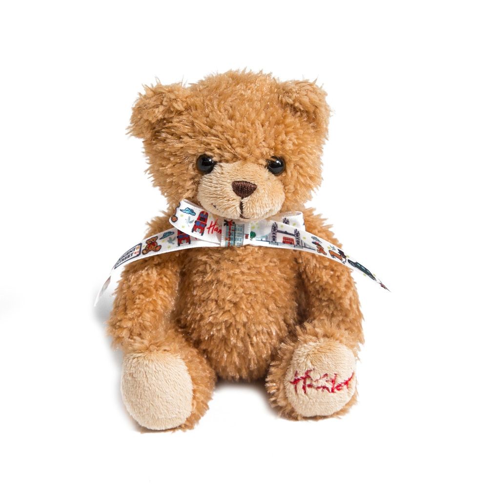 hamleys teddy bear price